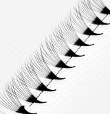 Pre Made Pointy Base Volume Fan Lashes 8D Mink Eyelash Extensions